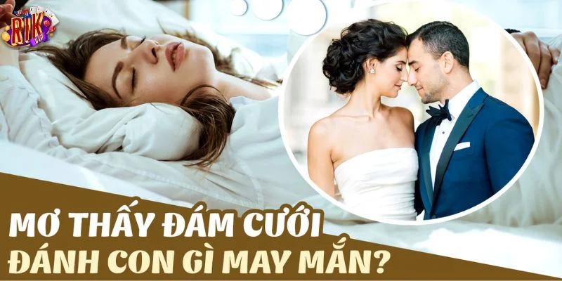 Nằm Mơ Thấy Đám Cưới Là Tốt Hay Xấu? Chốt Số Gì Trúng? 3 Giải mã giấc mơ thấy đám cưới cho bộ số đẹp tiềm năng.
